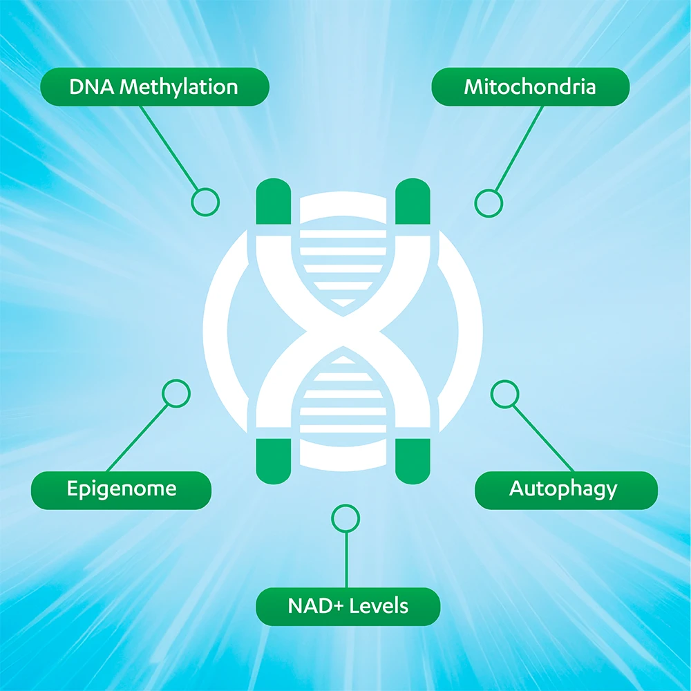 Tab undefined